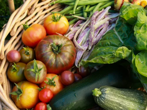 Gemüsekorb
